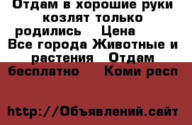 Отдам в хорошие руки козлят.только родились. › Цена ­ 20 - Все города Животные и растения » Отдам бесплатно   . Коми респ.